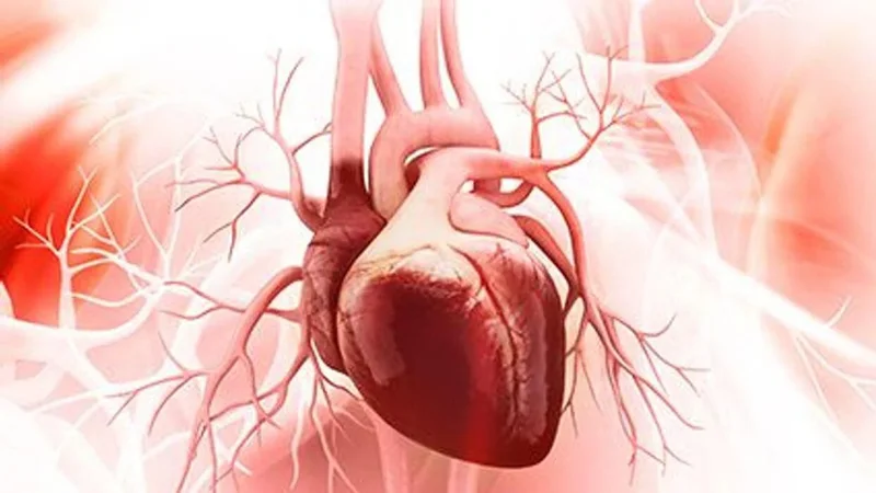 بیماری های میوکارد قلب Myocarditis