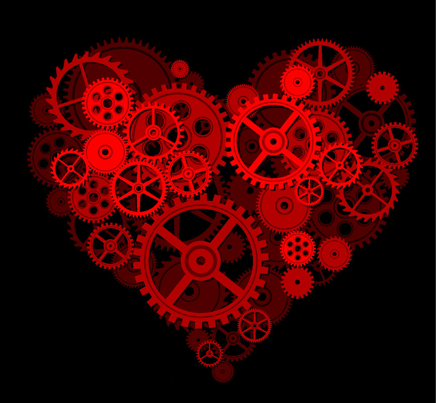 عملکرد نرمال قلب